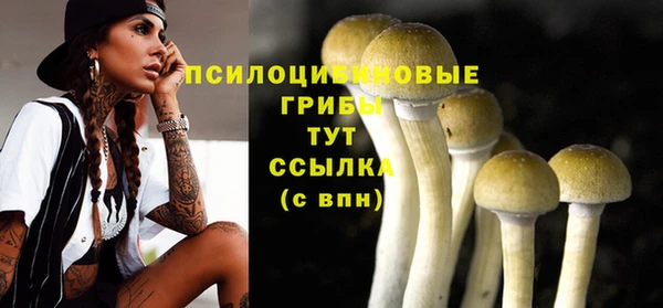 mix Алексеевка