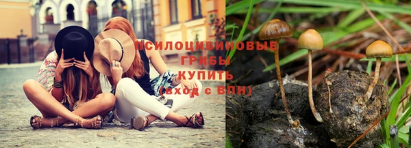 кокс Алексин