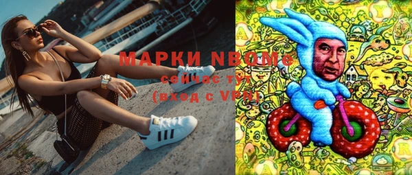кокс Алексин