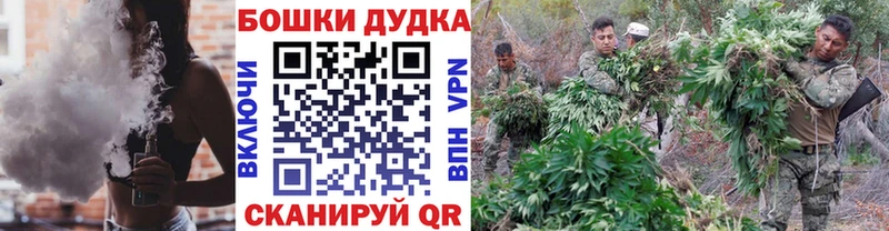 блэк спрут как войти  Кудрово  Каннабис OG Kush 